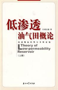 低渗透油气田概论-迅速崛起的鄂尔多斯盆地-(上册)-技术教育社区