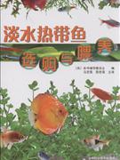 淡水热带鱼选购与喂养