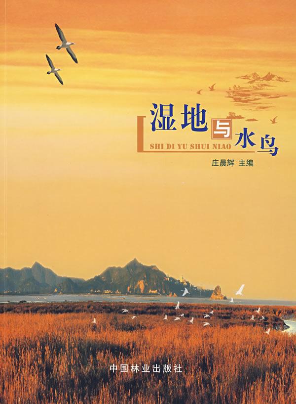 湿地与水鸟