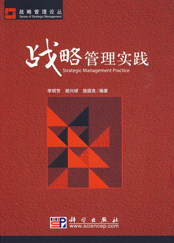 战略管理实践