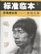 多角度头骨-素描头像-标准临本