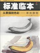 从素描到色彩-单体静物-标准临本-第一辑