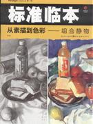 从素描到色彩-组合静物-标准临本-第一辑