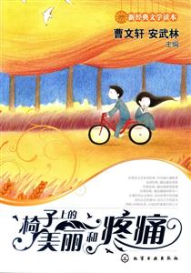 椅子上的美丽和疼痛-技术教育社区