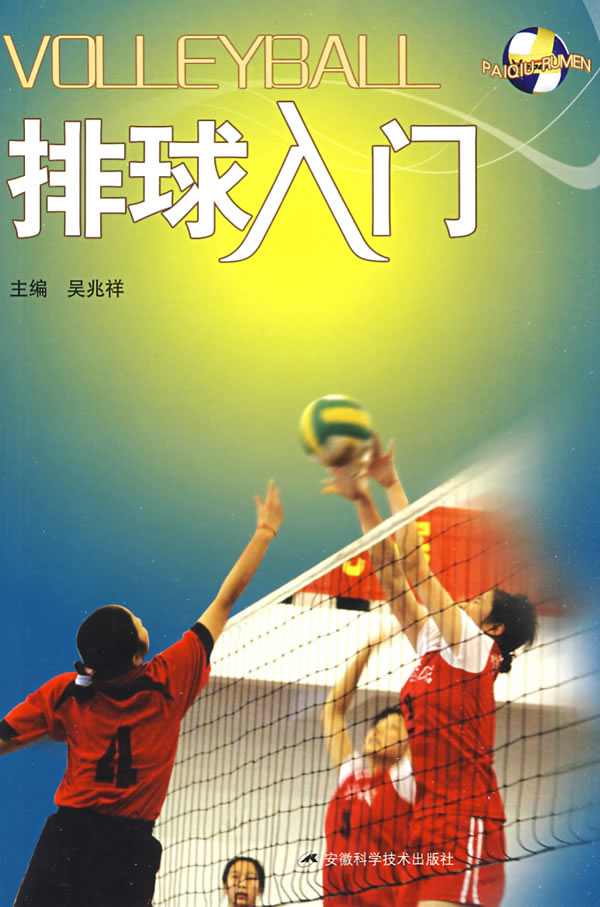 排球入门