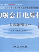 初级会计电算化