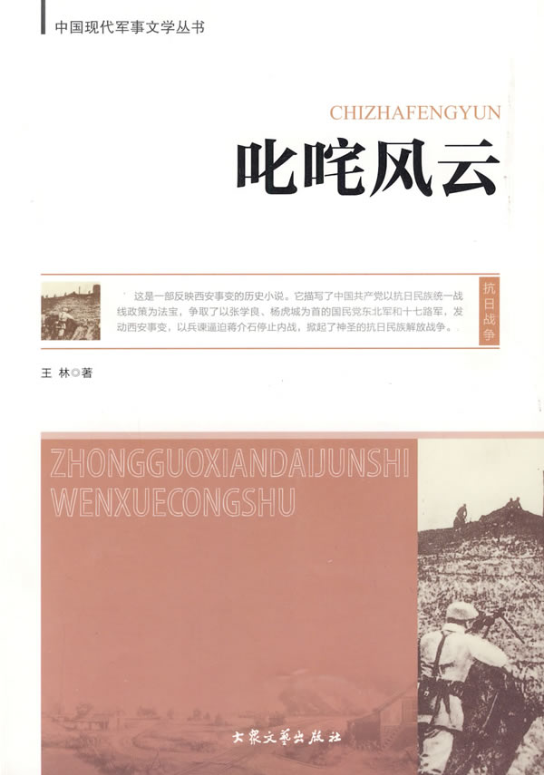 中国现代军事文学丛书:叱诧风云
