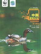中国湿地水鸟