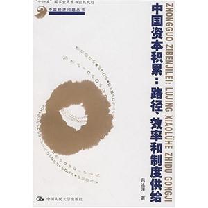 中国资本积累:路径、效率和制度供给(中国经济问题丛书;“十一五”国家重点图书出版规划)-技术教育社区