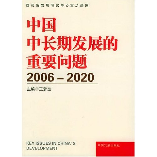 中国中长期发展的重要问题：2006~2020