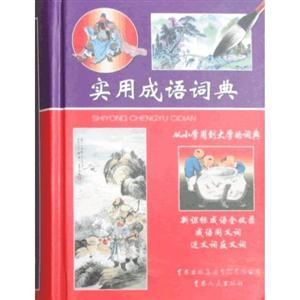 实用成语词典-技术教育社区