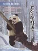 大熊猫传奇-大自然在召唤-技术教育社区