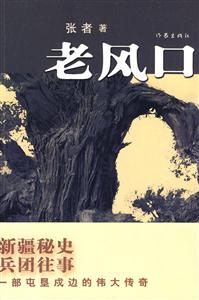 老风口-技术教育社区