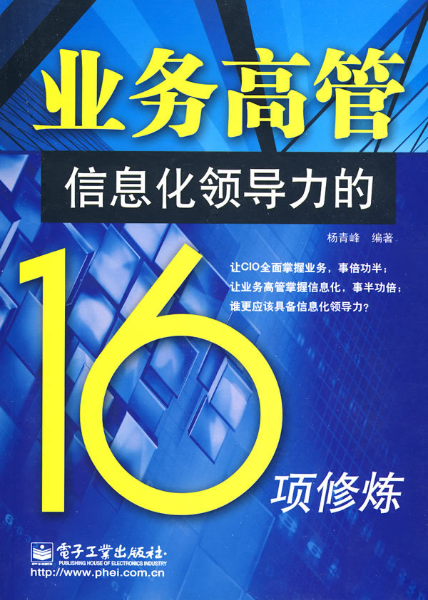 业务高管信息化领导力的16项修炼