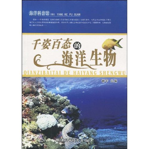 千姿百态的海洋生物-海洋科普馆