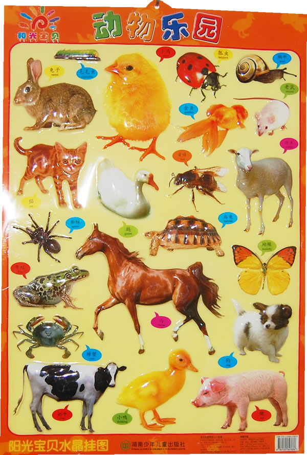 动物乐园阳光宝贝水晶挂图
