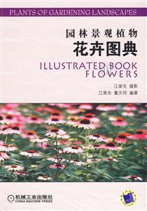 园林景观植物 花卉图典-技术教育社区