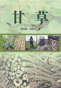 甘草-技术教育社区