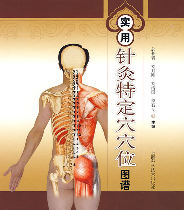 实用针灸特定穴位图谱