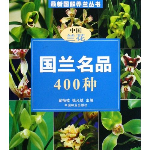 国兰名品400种