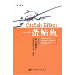 一条鲇鱼-在中国的传播与实践社会发展理论-技术教育社区