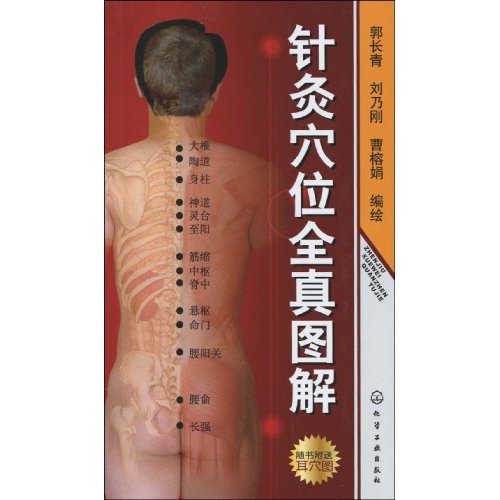针灸穴位全真图解