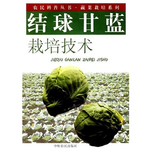 结球甘蓝栽培技术