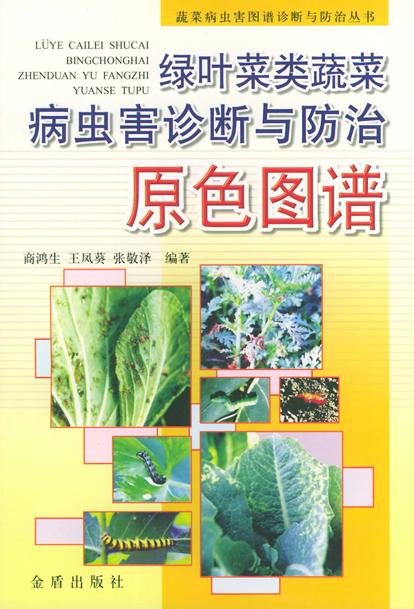 绿叶菜类蔬菜病虫害诊断与防治原色图谱