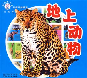 地上动物-聪明兔宝宝快乐学前启蒙-技术教育社区