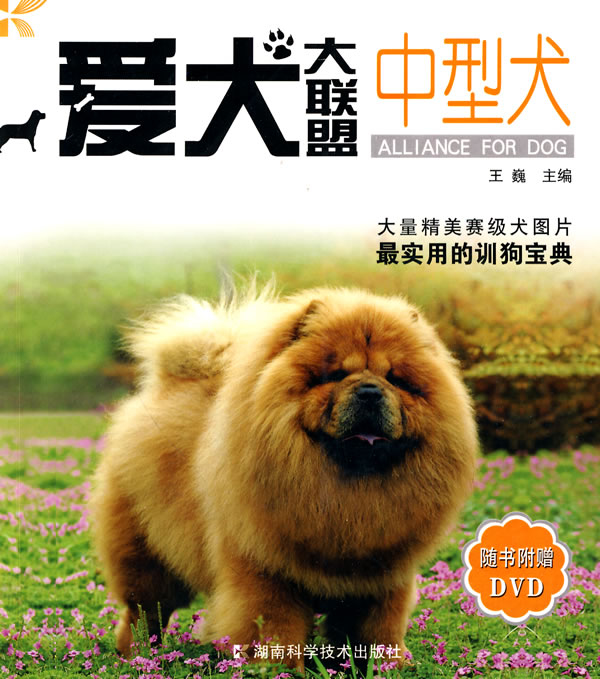 中型犬-爱犬大联盟-随书附赠DVD