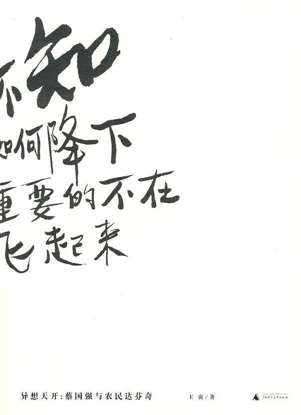 异想天开蔡国强与农民达芬奇书脊或封面有瑕疵