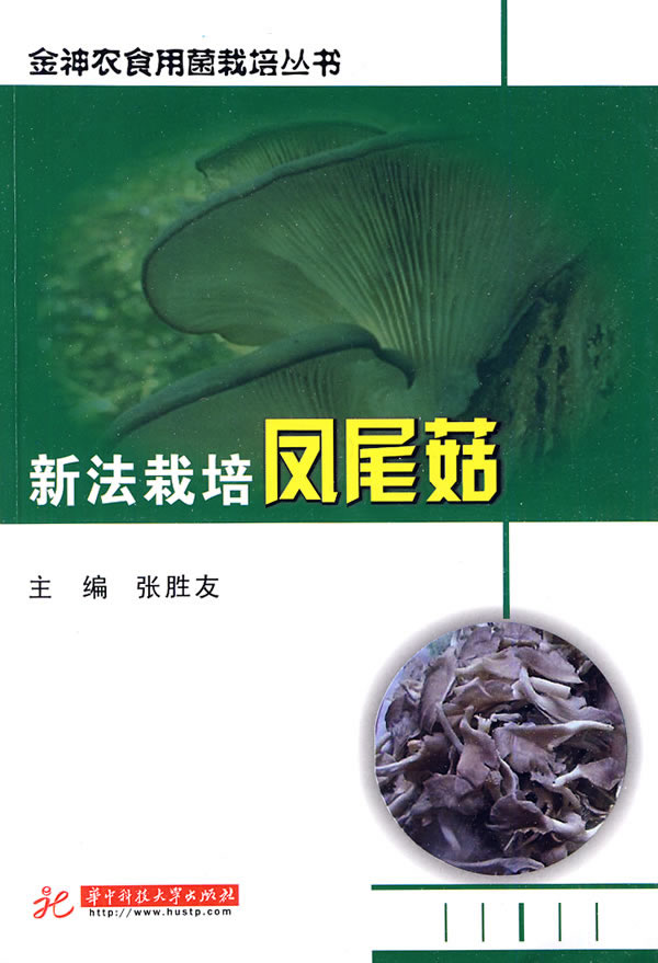 新法栽培凤尾菇