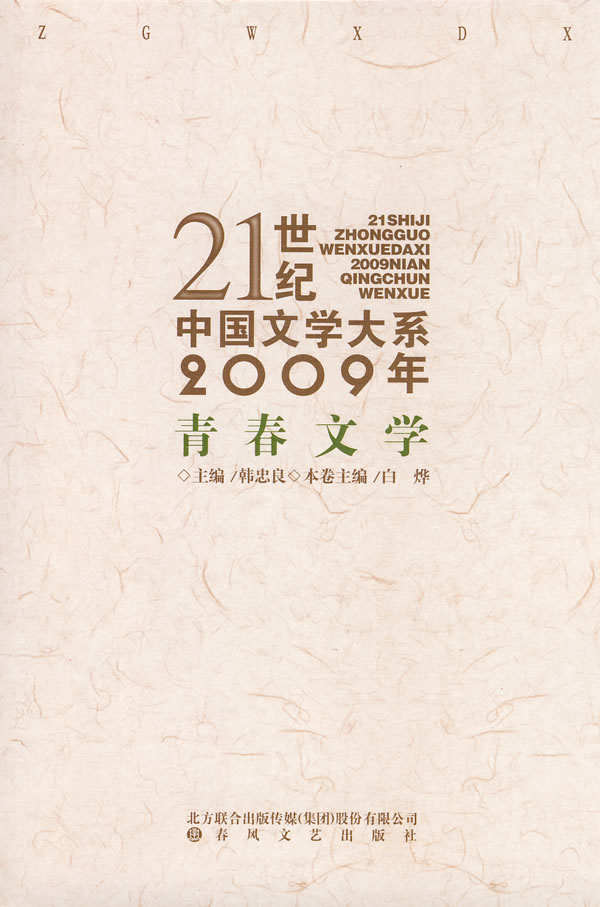 2009年青春文学