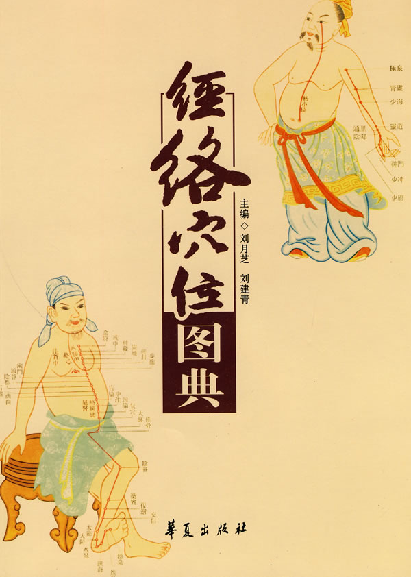 经络穴位图典