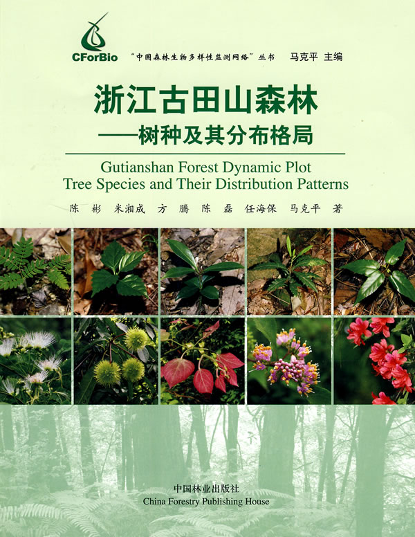 古田山森林生物多样性监测样地-树种及其分布格局