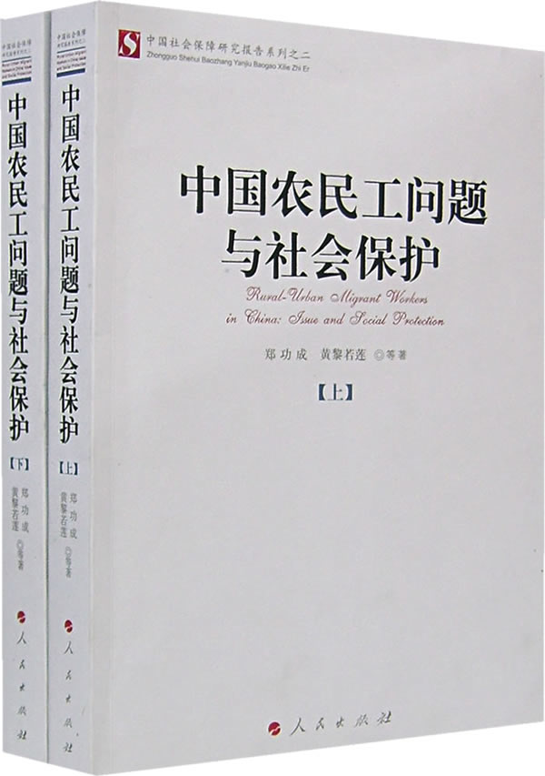 中国农民工问题与社会保护(上、下)