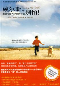 威尔斯,别怕(被金毛猎犬寻回的奇迹)-技术教育社区