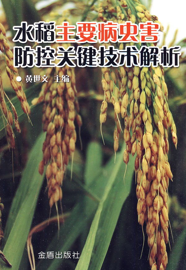 水稻主要病虫害防控关键技术解析