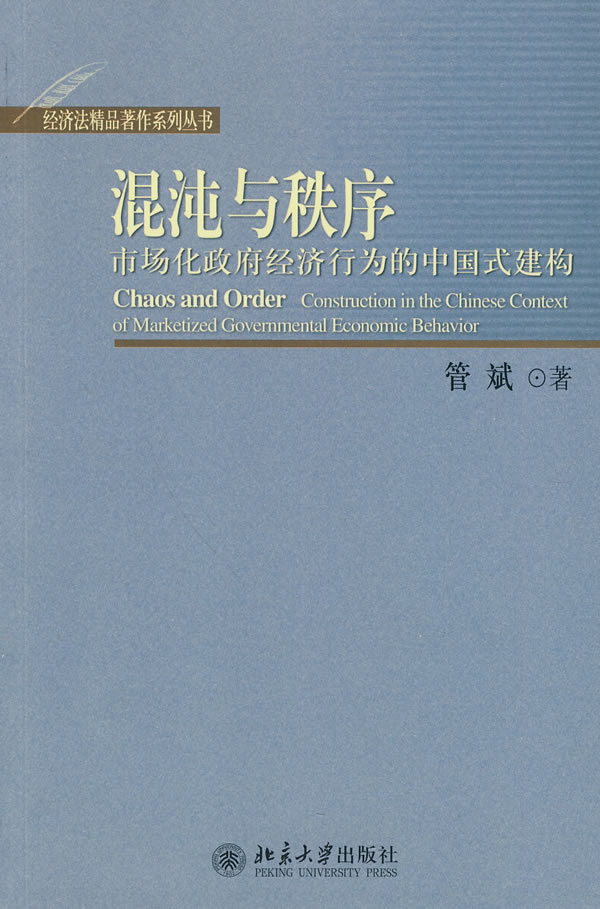 混沌与秩序-市场化政府经济行为的中国式建构