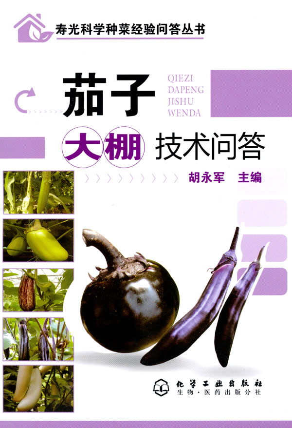 茄子大棚技术问答