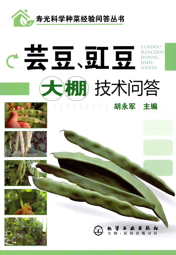 芸豆、豇豆大棚技术问答