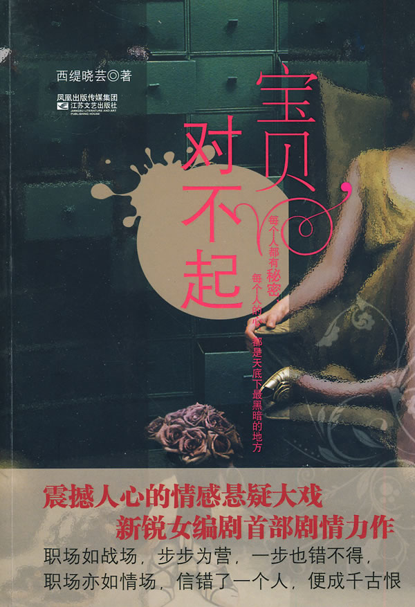宝贝对不起