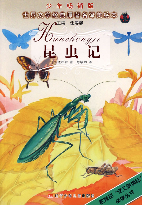自制昆虫记封面设计图片