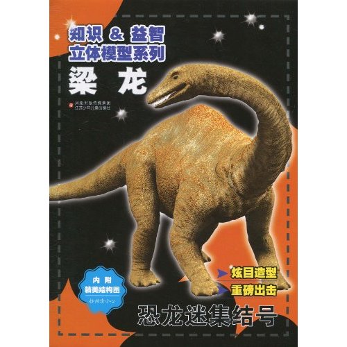 梁龙-内附精美结构图