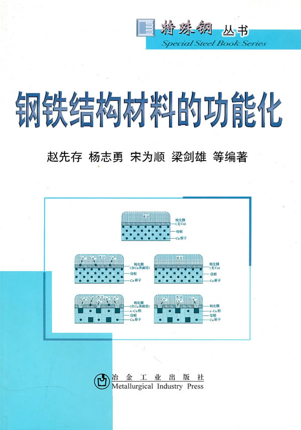 钢铁结构材料的功能化