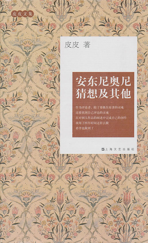 皮皮文集－安东尼奥尼猜想及其他