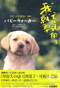 我就要忘记你了-技术教育社区