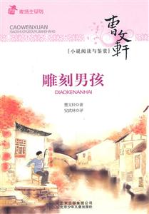 雕刻男孩-曹文轩小说阅读与鉴赏-技术教育社区