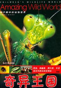 奇异王国-技术教育社区