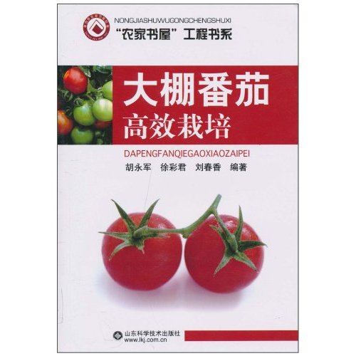 大棚番茄高效栽培
